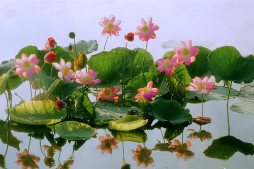 Bản tin Văn hóa du lịch ngày 15/5