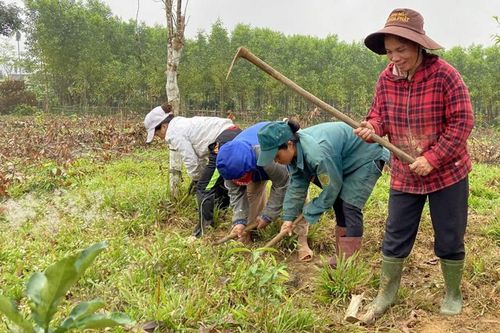Chuyển đổi cây trồng, vật nuôi theo hướng gia trại, nông trại