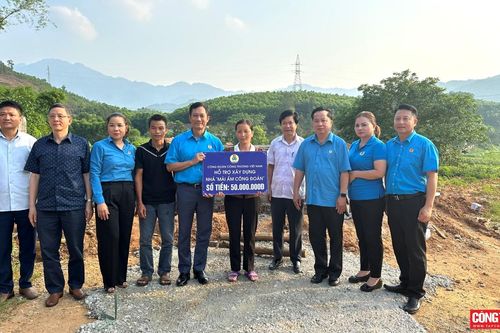 Tháng Công nhân giữa rừng nguyên liệu giấy: Chăm lo người lao động ngành lâm nghiệp