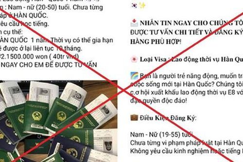 Cảnh giác cạm bẫy 'sang Hàn Quốc, Israel làm việc lương hàng chục triệu'
