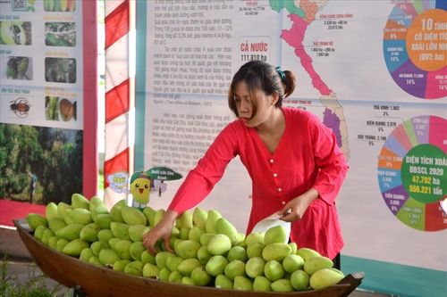 HTX ở Đồng Tháp 'mở khóa' tiềm năng nhờ sở hữu trí tuệ