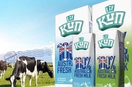 Sữa Quốc tế Lof (IDP) chi 144 tỷ đồng mua thêm 34% vốn công ty chăn nuôi bò Hồ Toản