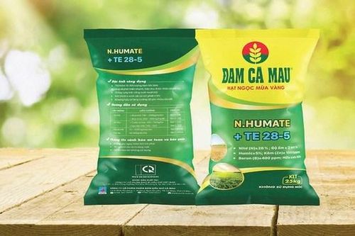 Đạm Cà Mau (DCM) đặt mục tiêu lãi 2025 đạt 774 tỷ đồng, muốn đầu tư nhà máy sản xuất phân bón hữu cơ vi sinh