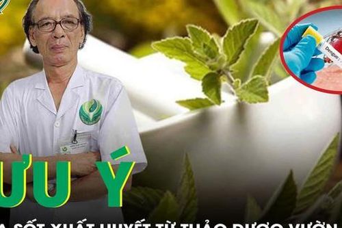 Chữa sốt xuất huyết bằng thảo dược, những điều cần lưu ý