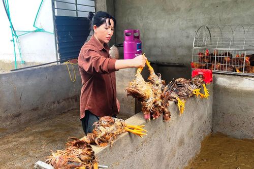 Thành phố Lai Châu thiệt hại gần 15 tỷ đồng sau trận mưa lớn