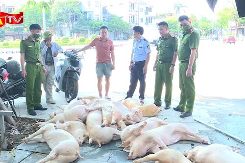 'Chặn' hơn 1 tấn thịt lợn không đảm bảo vệ sinh chuẩn bị lên lò nướng phục vụ nhà hàng