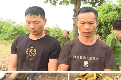 Khởi tố hai người Trung Quốc đào trộm lăng mộ vua Lê Túc Tông