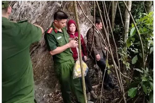 Tuyên Quang: công an băng rừng trong mưa lớn cứu đôi vợ chồng bị kiệt sức trên núi Dùm