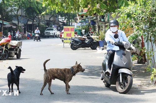 An toàn cho mình, bình yên cho cộng đồng