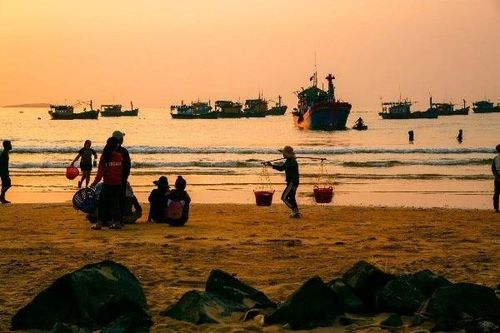 Bình minh rộn ràng trên chợ cá Long Thủy, Phú Yên