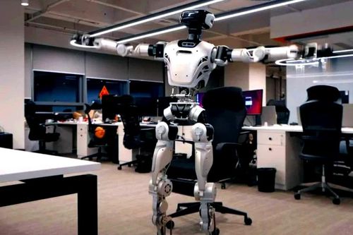 Thích thú xem robot Trung Quốc thư giãn cực chill xả stress