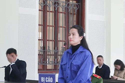 Nữ cán bộ ngân hàng ở Nghệ An lừa đảo chiếm đoạt hơn 47 tỷ đồng