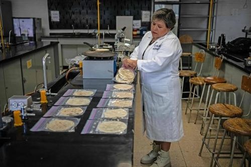 Nhà khoa học Mexico phát triển bảo quản bánh tortilla cho những người không có tủ lạnh