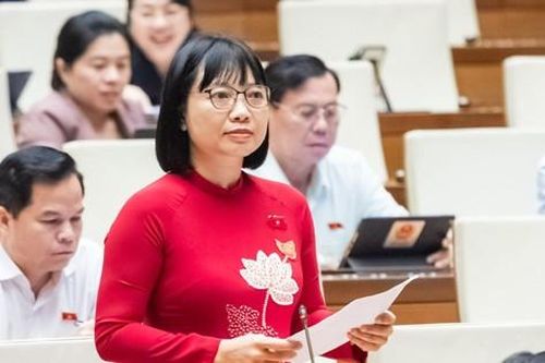 Đại biểu Quốc hội quan ngại doanh nghiệp 'ma' xuất hóa đơn khống 64.000 tỷ