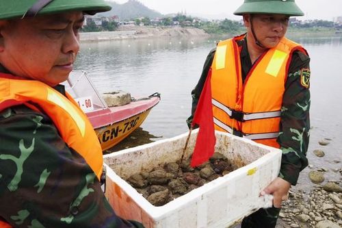 Trục vớt được 32 quả lựu đạn trên sông Đà