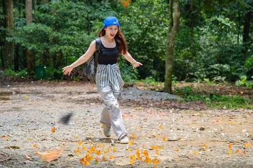 Bướm bay rợp trời ở Cúc Phương đẹp miên man, giới trẻ đổ xô tới chụp ảnh