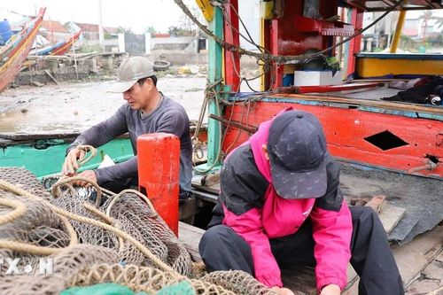 Ngư dân Quảng Nam 'thu về' hàng chục triệu đồng sau mỗi chuyến câu mực