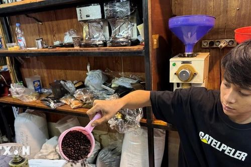 Indonesia đặt mục tiêu sản xuất càphê vượt Việt Nam
