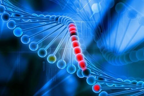Bệnh nhân đầu tiên được điều trị bằng kỹ thuật chỉnh sửa gene cá nhân hóa