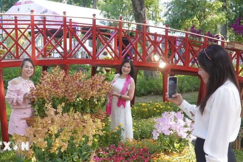 Chiêm ngưỡng 'Chuyến tàu đa sắc' tại Festival hoa lan Thành phố Hồ Chí Minh 2025