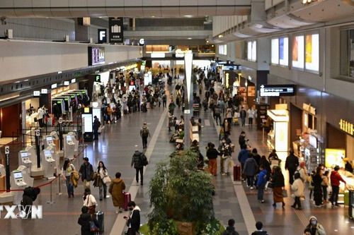 Hàn Quốc và Nhật Bản thí điểm lập làn đường nhập cảnh nhanh