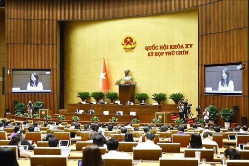 Quốc hội thảo luận về cơ chế, chính sách phát triển kinh tế tư nhân