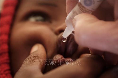 WHO cảnh báo dịch bại liệt xuất hiện tại Papua New Guinea