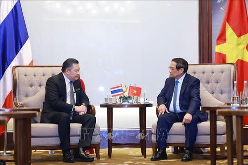 Thủ tướng tiếp một số doanh nghiệp Thái Lan đang đầu tư tại Việt Nam