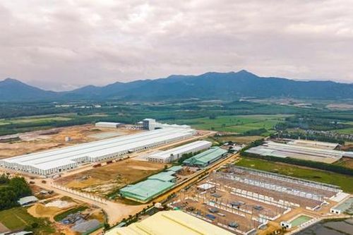 Bình Định: Một doanh nghiệp được chọn xây dựng 3 dự án với tổng vốn hơn 630 tỷ đồng