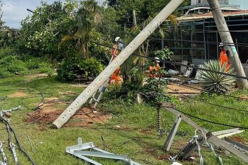 Thông tin mới vụ hàng loạt trụ điện ở Gia Lai gãy đổ
