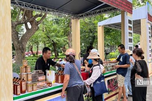 Sản vật đặc trưng của Lâm Đồng 'đổ bộ' Thủ đô