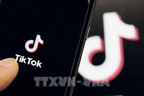 TikTok ra mắt định dạng quảng cáo mới tăng hiệu quả đầu tư cho doanh nghiệp
