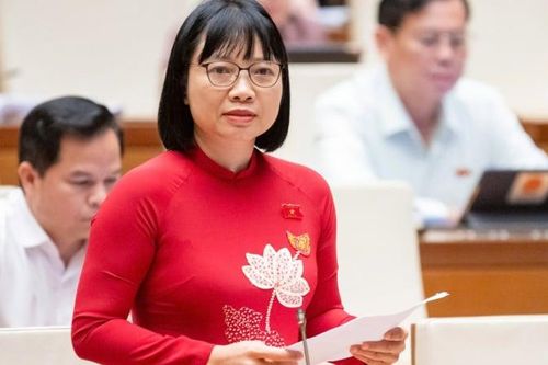 Cảnh báo 'kẽ hở' trong hậu kiểm