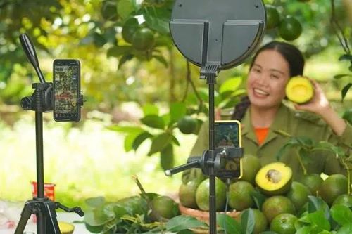 Thương mại điện tử tiếp sức sản phẩm chủ lực nông thôn mới