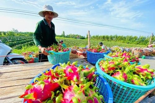 Tin Công Thương 16/5: Gỡ điểm nghẽn xuất khẩu nông sản