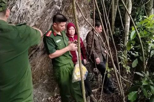 Tuyên Quang: Giải cứu hai vợ chồng lạc vào rừng xuyên đêm