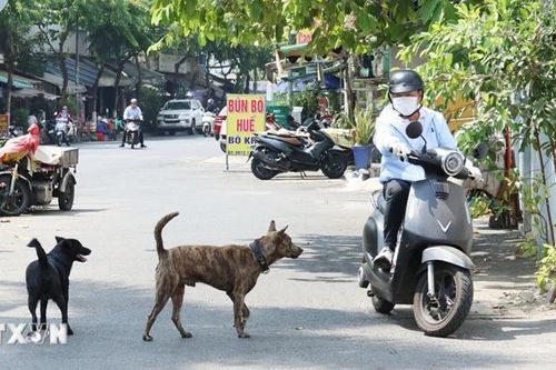 An toàn cho mình, bình yên cho cộng đồng