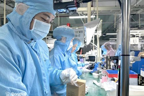 Nhiều doanh nghiệp Nhật Bản chọn Đồng Nai làm điểm đến