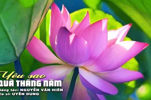Giải trí cuối tuần