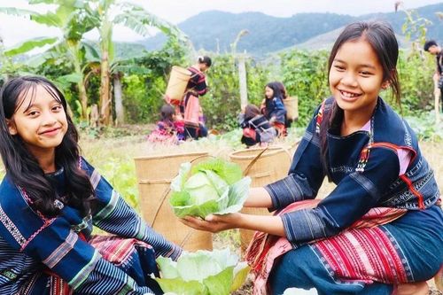 Học Bác từ những điều bình dị