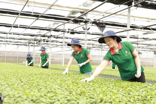 Gia Lai: Chấp thuận chủ trương đầu tư 17 dự án