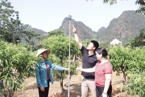 Tưới tiết kiệm: Bớt sức, tốt cây