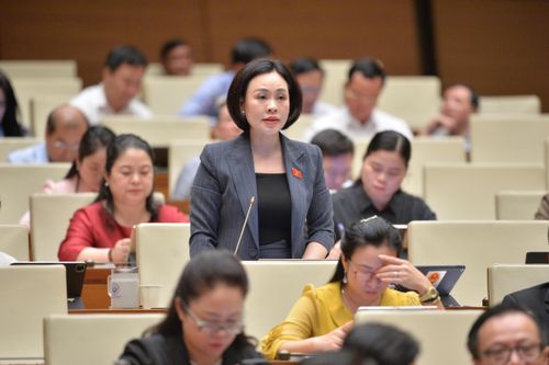 Kỳ họp thứ 9, Quốc hội khóa XV: Đại biểu Quốc hội tỉnh đề xuất cơ chế, chính sách phát triển kinh tế tư nhân