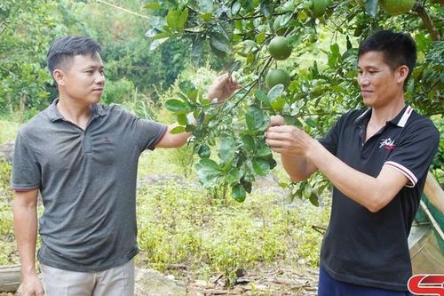 Học Bác bằng những nội dung đột phá, mô hình cụ thể