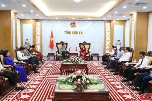 Đại sứ đặc mệnh toàn quyền nước Cộng hòa Chile tại Việt Nam chào xã giao tỉnh Sơn La