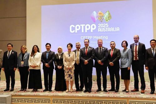 Các Bộ trưởng CPTPP thảo luận về tình hình rà soát thực thi Hiệp định