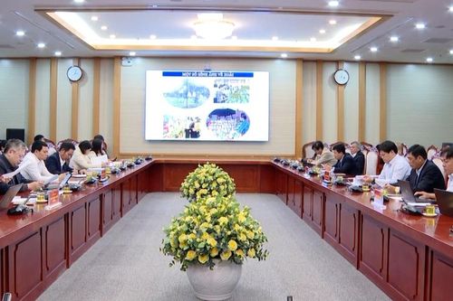 Chủ tịch Quảng Ngãi yêu cầu dừng tổ chức tham quan, học tập kinh nghiệm