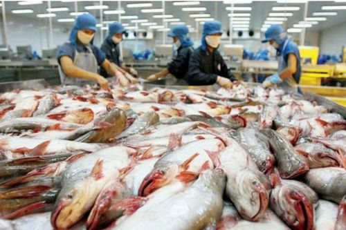 Doanh nghiệp Việt không nên chần chừ trong bối cảnh thuế quan với Hoa Kỳ