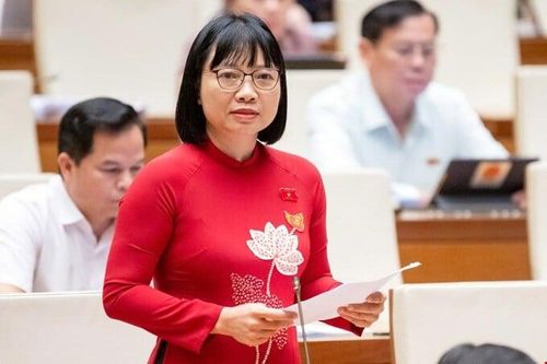 Đại biểu Quốc hội cảnh báo hơn 600 'doanh nghiệp ma' xuất trên 1 triệu hóa đơn khống
