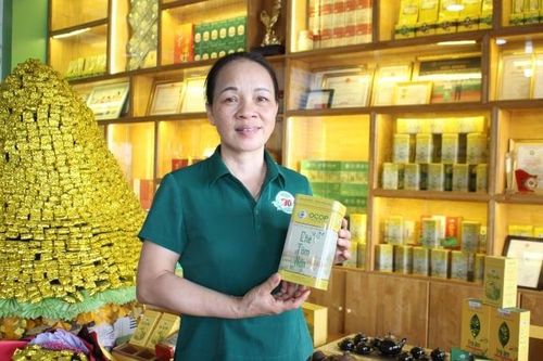 Bảo vệ 'hồn cốt' chè Thái Nguyên bằng sở hữu trí tuệ